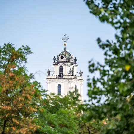 Vokieciu St With Balcony I In The Center Of It I Cohost 公寓 *