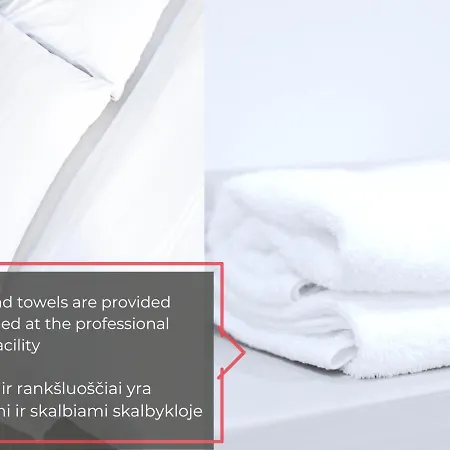 Vokieciu St With Balcony I In The Center Of It I Cohost Апартаменты *