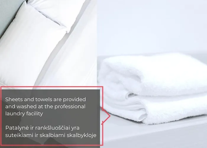 Vokieciu St With Balcony I In The Center Of It I Cohost Apartman *