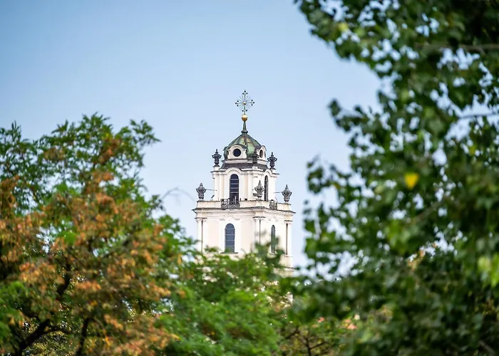 Vokieciu St With Balcony I In The Center Of It I Cohost Apartament *