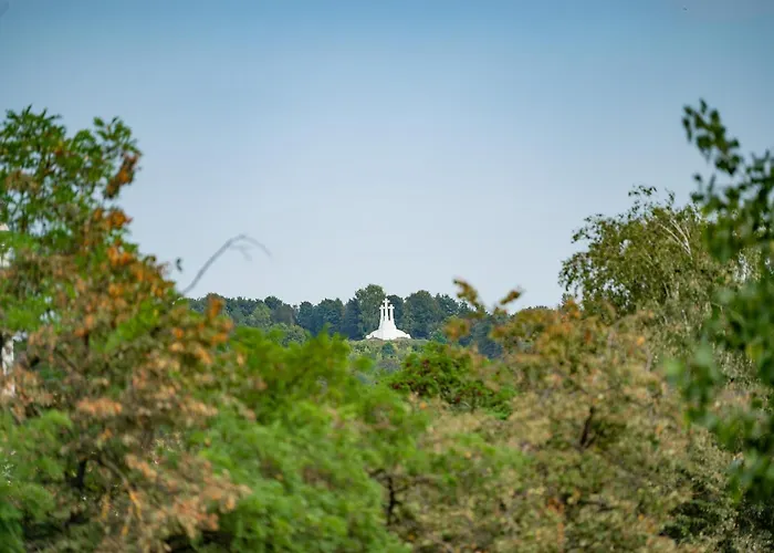 Apartment Vokieciu St With Balcony I In The Center Of It I Cohost *